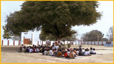 class-under-tree-MSA